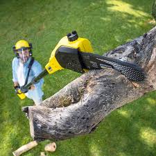 Best Aeration Services  in Lake Orion, MI